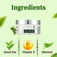 Riyo Herbs Green Tea Gel Cream 100 gm - Face Creams
