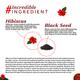 Atulya Hibiscus & Black Seed Hair Oil 200 ml - Hair Oils