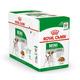 Royal Canin Mini Adult Pet Food  - Gravy Salsa (Pack of 12 x 85 gm) 1's - Petfood