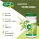 Swadeshi Tulsi Churna Powder 80 gm - Speciality Medicines