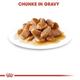 Royal Canin Mini Adult Pet Food  - Gravy Salsa (Pack of 12 x 85 gm) 1's - Petfood