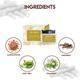 Jovees Sandalwood Protection Day Cream (spf-20) 50gm - Face Creams