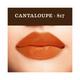 SoulTree Lipstick Cantaloupe 817 4 gm - Lipsticks
