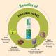 Dr. Vaidya's Acidity Care Effervescent Tablets - Lemon Mint Flavour 15's - Speciality Medicines