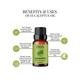 Essentia Extracts Eucalyptus Essential Oil 15 ml - Essential Oils