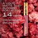 Lakme Rouge Bloom Matte Lip Liquid Delicate Daisy 302 3.5 ml - Liquid Lipsticks