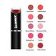 GLIMMER MATTE LIPSTICK RUM & RAISIN 4.2 gm - Lipsticks