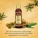 Oriental Botanics Extra Virgin Olive Oil with Comb Applicator 200 ml - Hair Oils