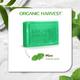 Organic Harvest Luxurious Bathing Bar - Mint, Mint Soap Bar for Gentle Cleansing, Mint Soap Bar 125 gm - Soaps
