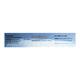 LYNX Gel 15g - Skin Infections-Toa