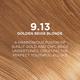 L'Oreal Paris Excellence Fashion Hair Color with Color Boost, 9.13 Golden Blonde 172 ml - Crème