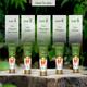Lotus Botanicals Vitamin C Skin Brightening Facial Kit, 5 Step Facial Pack, For All Skin Types 44 gm - Facial Kits