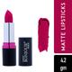 Bonjour Paris Silk Matte Lipstick-Pink Rose 4.2 gm - Lipsticks