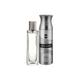 Ajmal Titanium EDP Citrus Spicy Perfume And Silver Shade Homme Deodorant Citrus Woody Fragrance 300 ml - Men Perfumes (Edt/Edp)