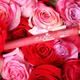 Daily Life Forever52 Velvet Rose Matte Lipstick Rs004 Rs004 2.5 gm - Lipsticks