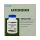 Healthvit Artemisinin Veggie Capsules 60's - General Health