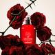 Cacharel Amor Amor Eau De Parfum 50 ml - Women Perfumes (Edt/Edp)