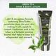 Bryan & Candy Green Tea Lotion 125 ml - Lotions & Creams
