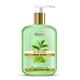 Stbotanica Tea Tree & Basil Hand Wash, No Parabens, Sls, With Shea Butter 250 ml - Soaps