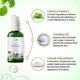 The Beauty Sailor Repair and Glow Ceramides + CICA Face Serum Enhances Glow 30 ml - Face Mists