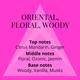 Colour Me Femme Neon Pink Eau De Parfum 100 ml - Women Perfumes (Edt/Edp)