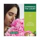 Palmolive Luminous Oil Invigorating Body Wash Showergel Single Bottle 250 ml (N) - Shower Gels & Body Wash