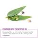 Myglamm Cleansing Towels 240 Gm - Diapers & Wipes