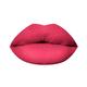 PAC Timeless Matte 12H Longlasting Rich Pigment One Swipe Payoff Smudgeproof - Love Potion (6.5 ml) - Liquid Lipsticks