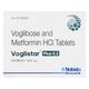 VOGLISTAR PLUS 0.2 Tablet 15's - Diabetes-Ant