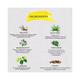 Roots & Herbs Mulethi Acne Clarifying Kit 260 gm - Masks & Peels