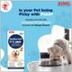 AIMIL Amlycure D.S. PET Liquid 200 ml - Pet Healthcare