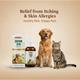 Dr. Bakshi's Bakson's Homoeopathy Derm Aid Drops (Veterinary) 30 ml - Pet Healthcare