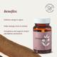 Forestreasures Ashwagandha Tablet 60's - Speciality Medicines