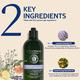 L'Occitane Gentle & Balance Shampoo 75ml - Shampoos