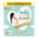 Pampers New Baby 24's - Diapers & Wipes
