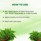 Rosa Neem Face Pack 100 g - Face Packs