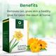 Organic Harvest Facial Kit - Organic Shield-Anti Tan 50 gm - Facial Kits