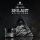 Pravek Shuddha Shilajit Resin Form 20 g - Speciality Medicines