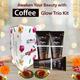 Globus Naturals Diwali Glow Coffee Trio Kit-Face Wash 100gm, Face Scrub 100gm, Peel Off Mask 100gm 1's - Makeup Kits & Sets