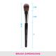 Vega Foundation Brush (PB - 02) 1's - Face Brush