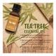 Nyassa Tea Tree Essential Oil 100% Pure & Natural 10 ml - Essential Oils