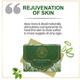 Luxuriate Naturally Refreshing Aloe Vera and Basil Soaps 125 gm - Soaps