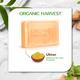 Organic Harvest Luxurious Bathing Bar-Ubtan Bathing Bar for Gentle Cleansing, Soap for Glowing Skin 125 gm - Soaps