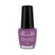 Miss Claire One Stroke Nail Polish - N9 9 Ml - Nail Polish