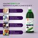 Krishna's Herbal & Ayurveda Karela Jamun Mix Juice 1000 ml - Ayurvedic Juices