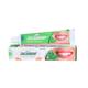GH Zacson Zacsodent Gum Relief Toothpaste 100 gm - Personal Care(Homeopathy)