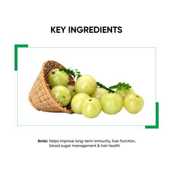 Dr.Vaidya's Amla Juice 950 ml - Ayurvedic Juices