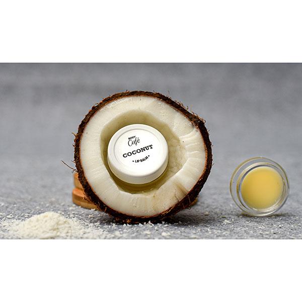 Body Cafe Coconut Lip Balm 10 gm - Lip Balms