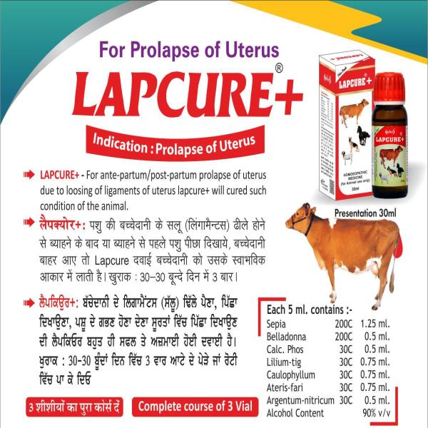 Lapcure+ Liquid 30 ml - Farm Animals Healthcare