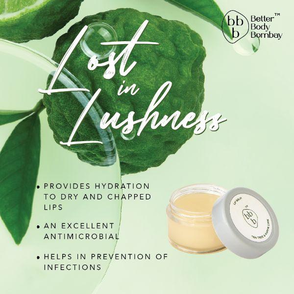 BBB Better Body Bombay Lip Balm- Tea Tree & Kaffir Lime 10 gm - Lip Balms